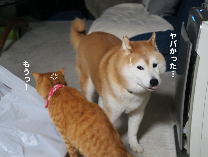 4日ブログ５