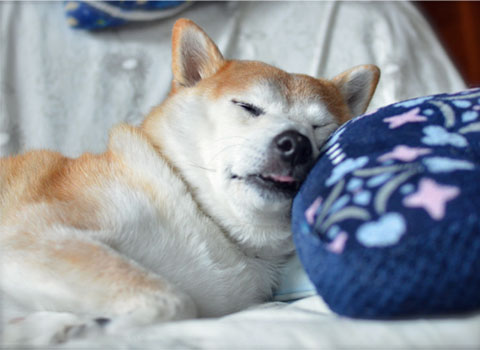 19日ブログ2.jpg