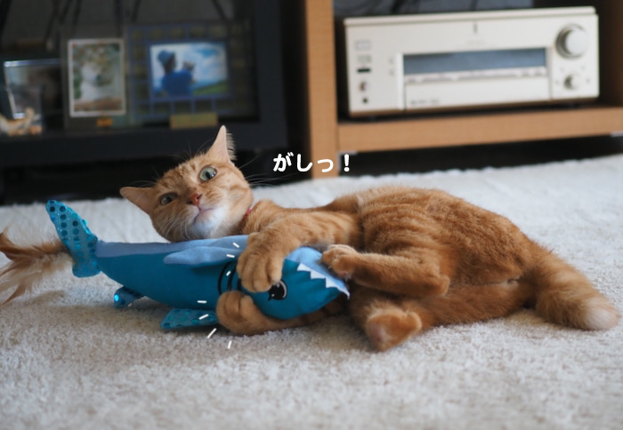 15日夜ブログ４