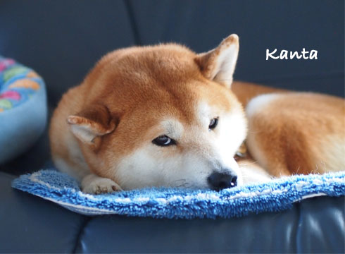 29日ブログ5.jpg