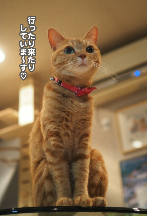 19日夕ブログ５