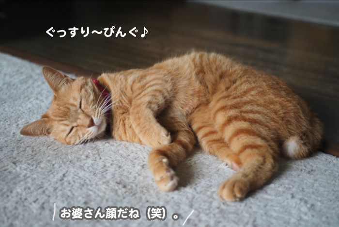 17日午前ブログ２