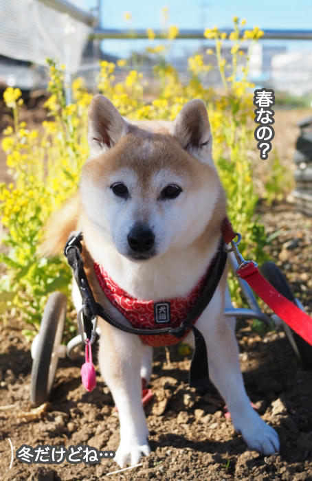 2日のブログ２