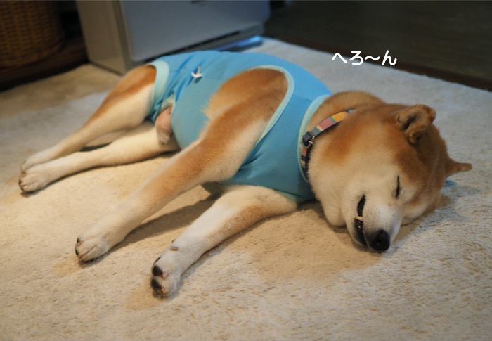 12日夜ブログ６