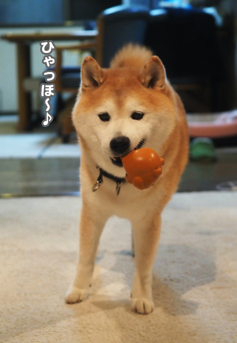 15日夕ブログ２