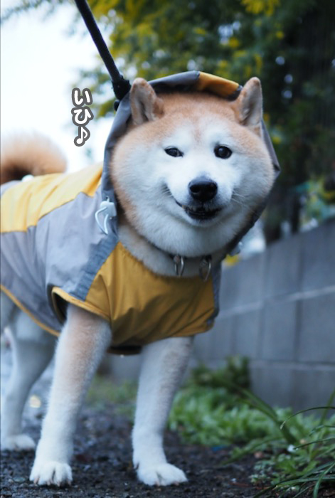 23日夜ブログ５