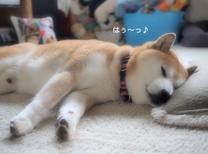 16日ブログ４
