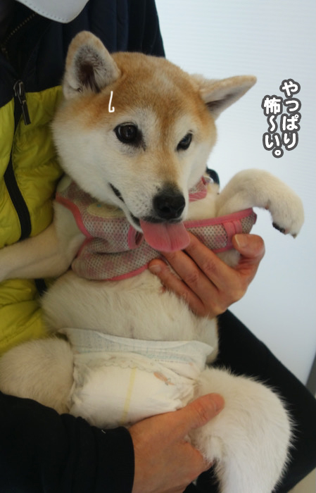 28日ブログ３