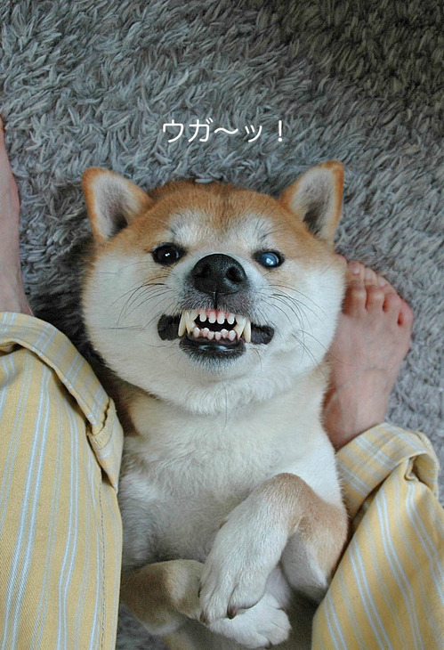 24日ブログ4