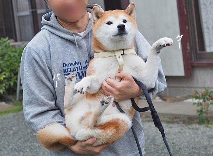17日ブログ5