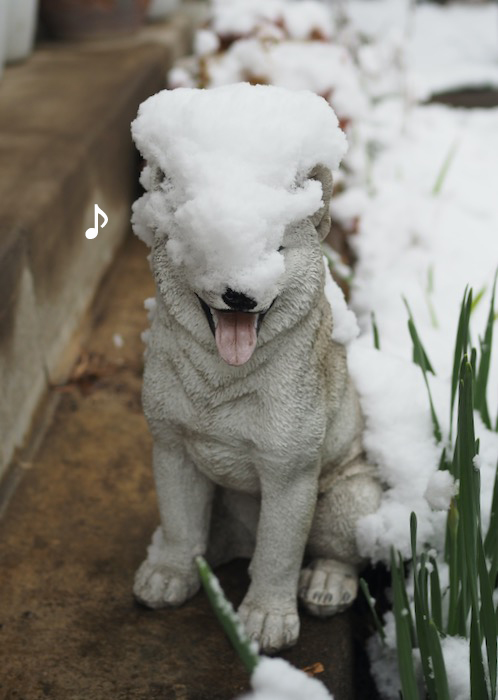 8日夕ブログ１０