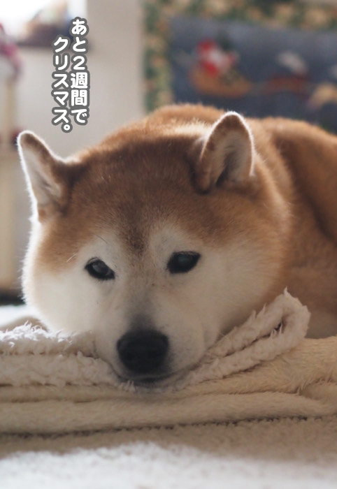 9日夕ブログ４