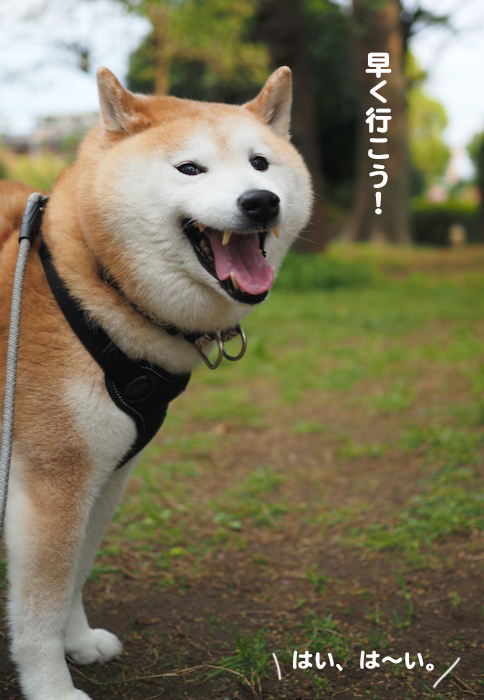 11日ブログ３
