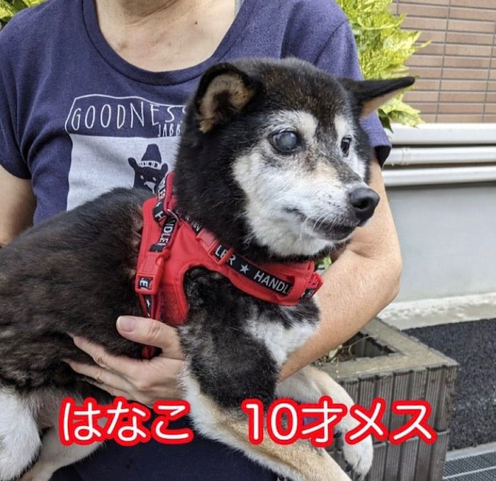 20日ブログ４