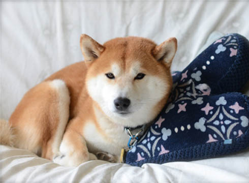 1日ブログ2.jpg