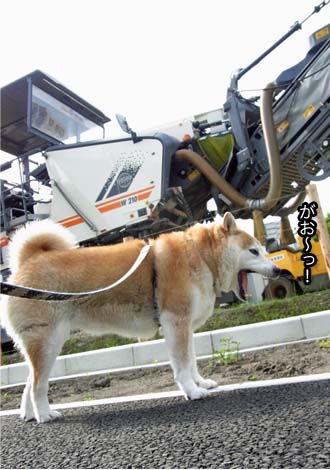28日ブログ4.jpg