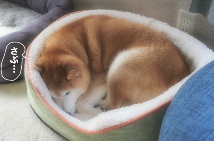10日ブログ１