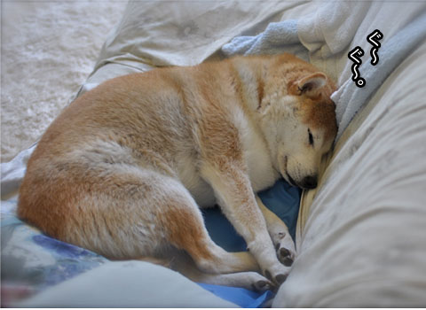 23日ブログ4.jpg