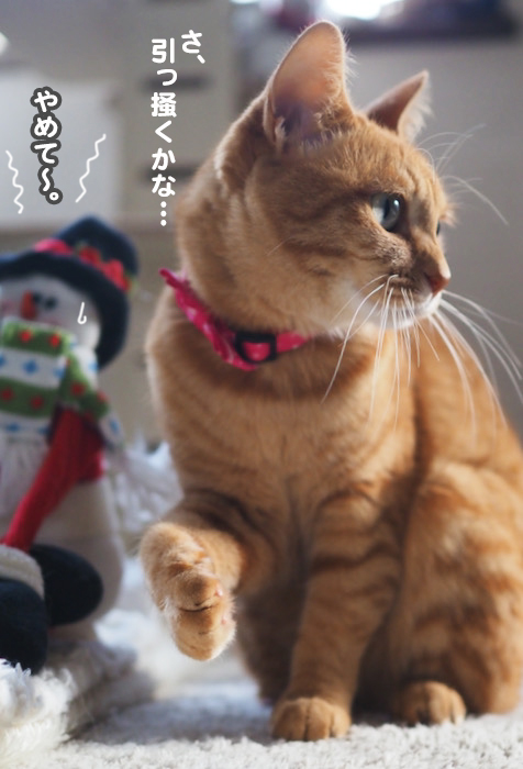 20日夜ブログ４