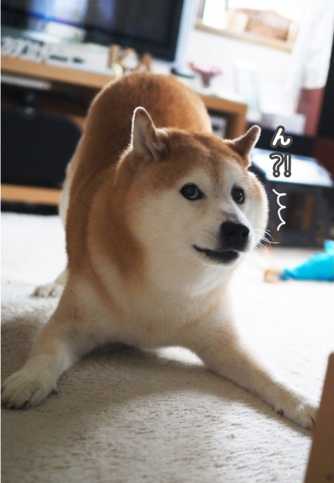 7日夕ブログ２