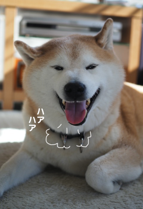 26日夕ブログ３