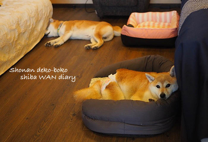 10日夜ブログ10