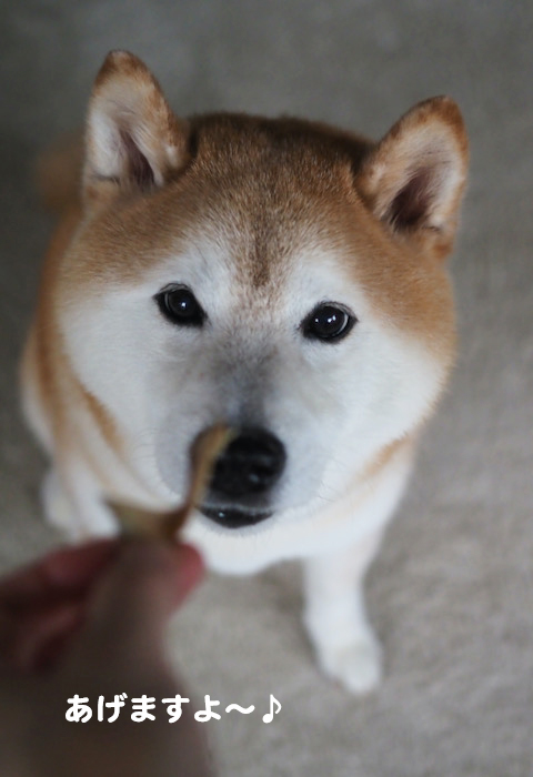 15日夕ブログ４