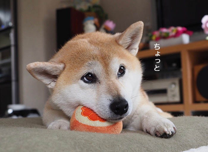 24日ブログ７