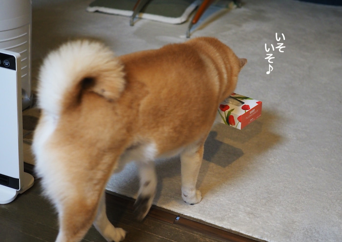 2日夜ブログ４