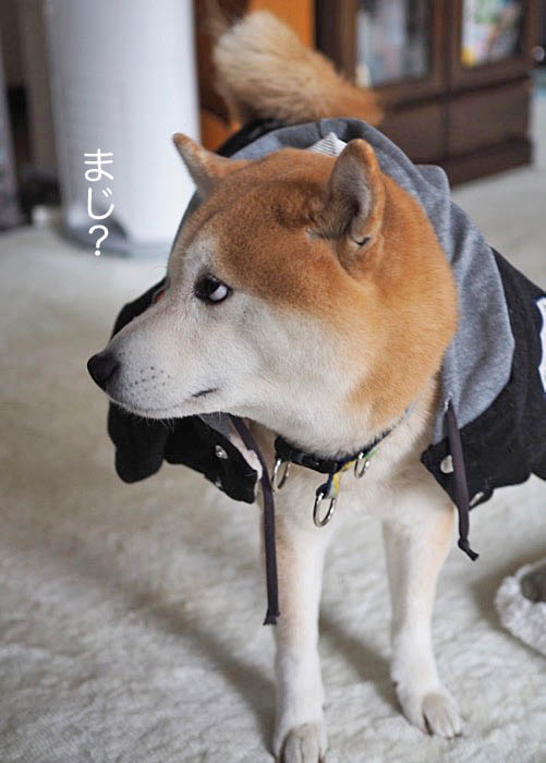 31日午後ブログ8