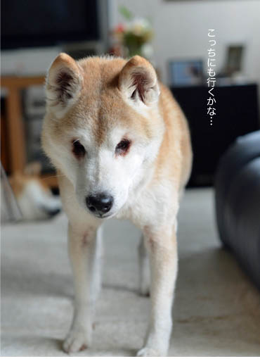 21日ブログ4.jpg