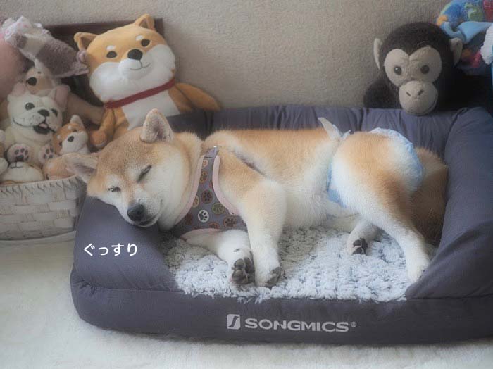 8日ブログ２