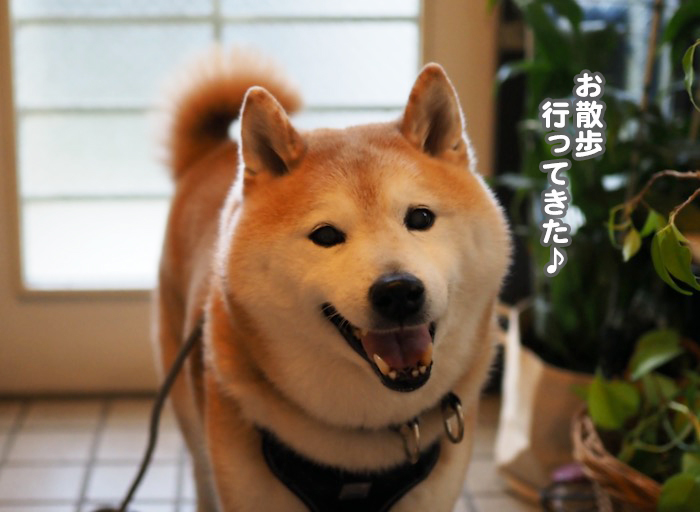 22日夕ブログ３