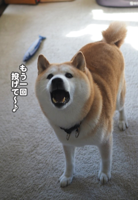 24日ブログ６