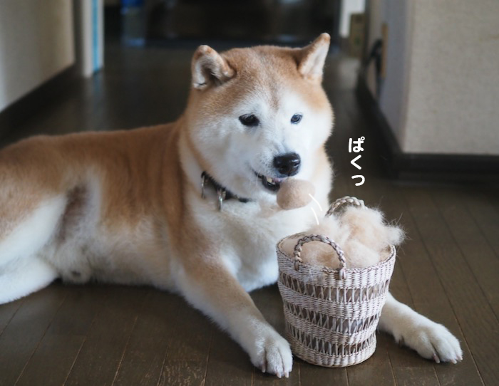 18日夕ブログ６