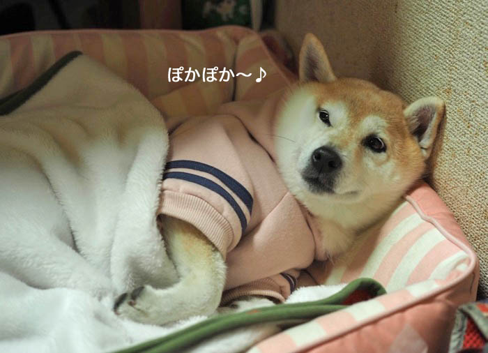 17日ブログ４