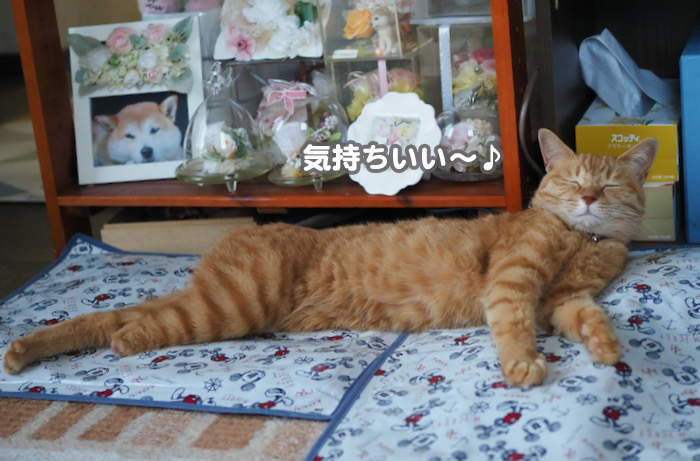 5日夕ブログ２