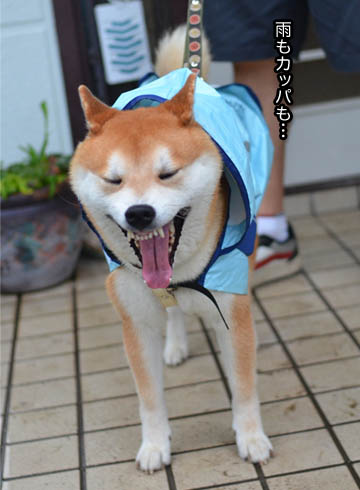 25日ブログ3.jpg