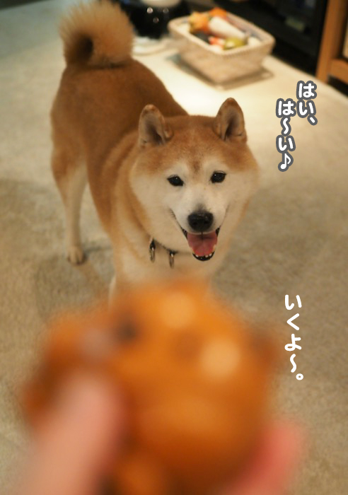12日夕用３