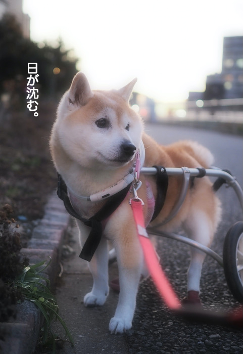 16日ブログ２