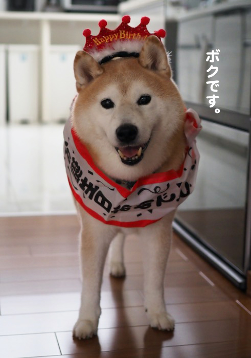 23日夕ブログ２