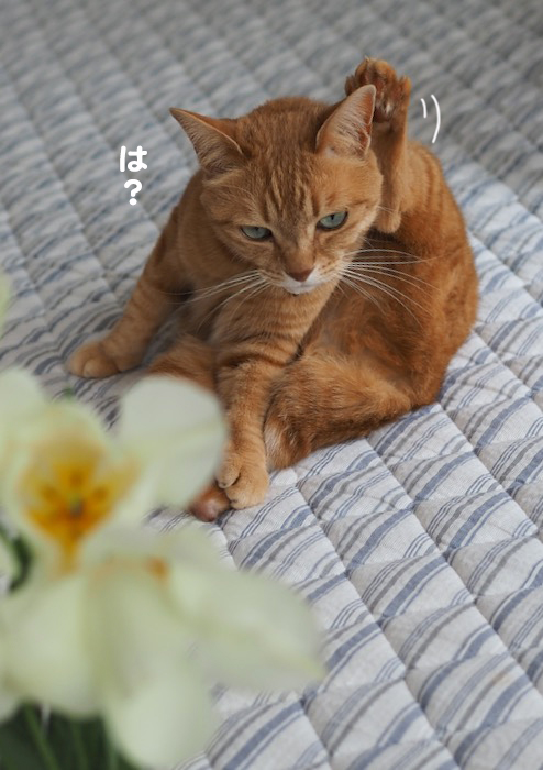 7日ブログ３