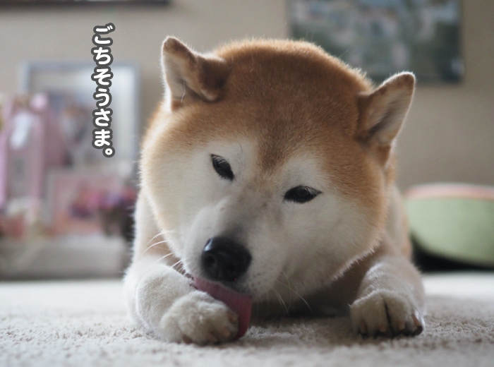 19日夕ブログ１０