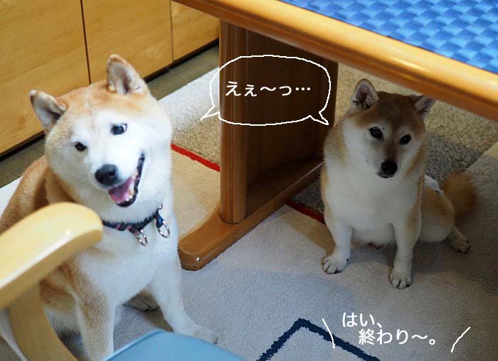 26日ブログ６
