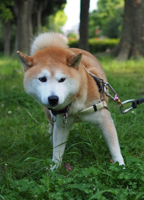 28日午後ブログ５