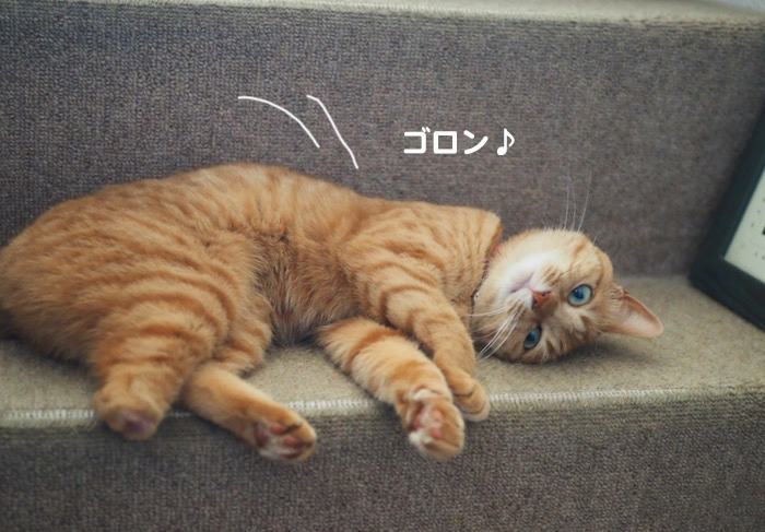 16日夕ブログ3