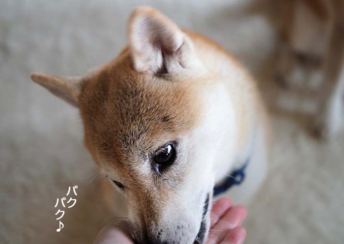 12日午後ブログ１０