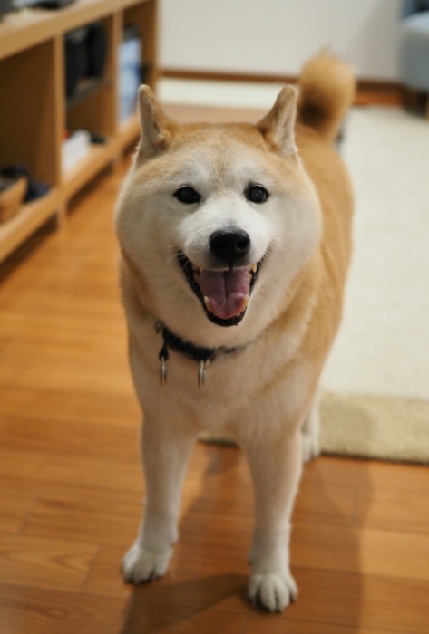 22日夕ブログ３２