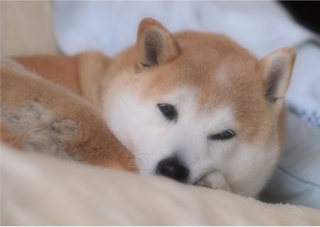 27日ブログ10.jpg