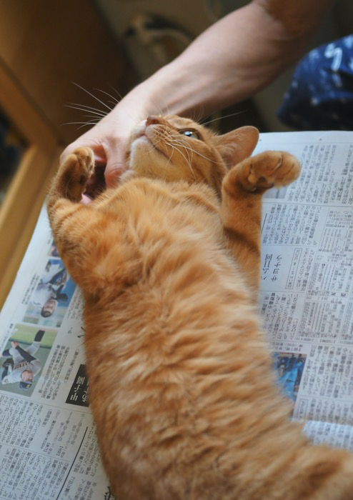 5日ブログ３